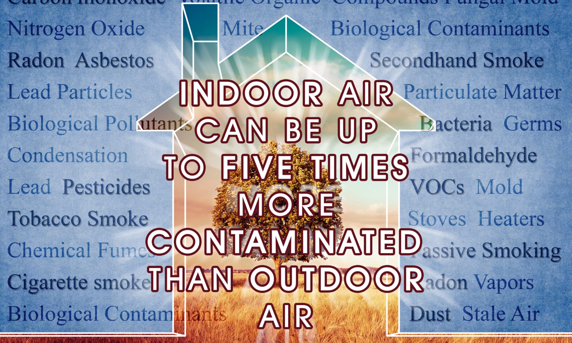 common indoor air quality problems scaled